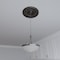 Ekena Millwork Berkshire PVC Ceiling Medallion (Fits Canopies up to 7"), Metallic Charcoal, 16"OD x 3 1/2"ID x 1"P CMP16BECCH - alternate 6
